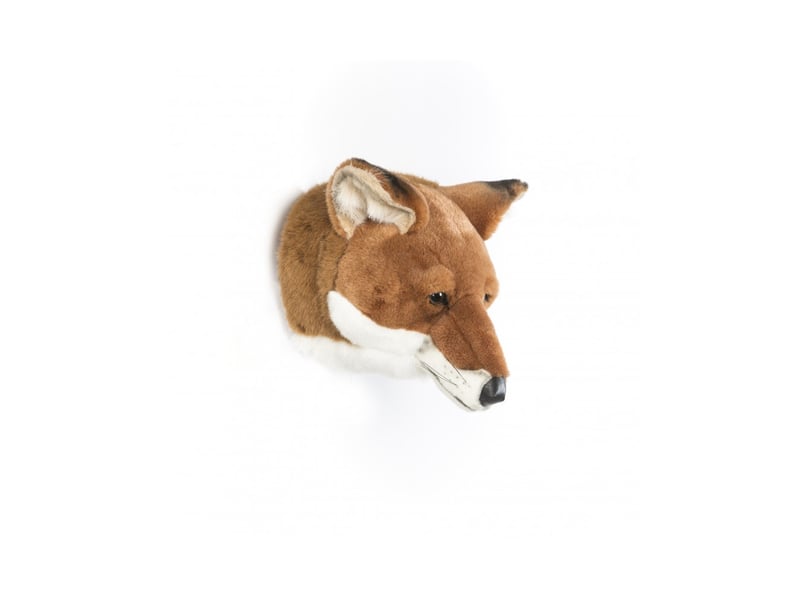 Trophée peluche louis le renard  - Conforama B