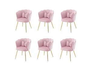 Ensemble de chaises 6 places, design pétale unique, structure métal robuste, coussins inclus