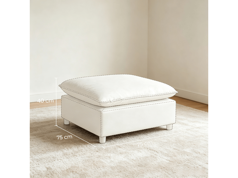  Repose-pieds carré pour le salon, pouf avec pieds en plastique, pouf pour la chambre et l'entrée 838-620V01GY - Conforama D
