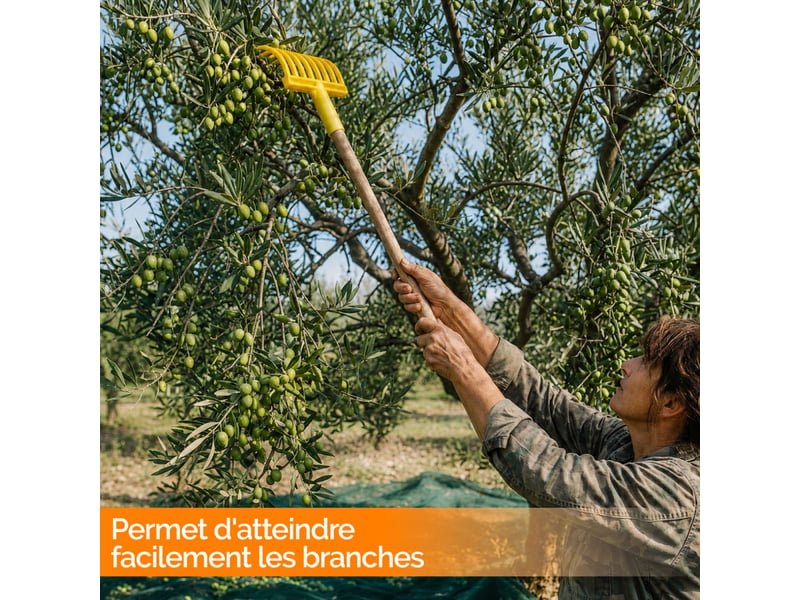  Peigne, râteau à olives 9 dents avec manche en bois 77 cm - jaune  - Conforama D