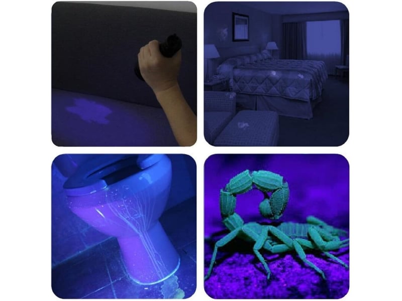  Lampe de poche uv lumière noire 51 led lampe à main mini détecteur d'urine ultraviolet po ur anim aux de compagnie pour faux billets de  - Conforama C