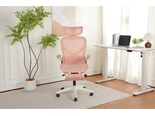 Chaise de bureau WELLTIN