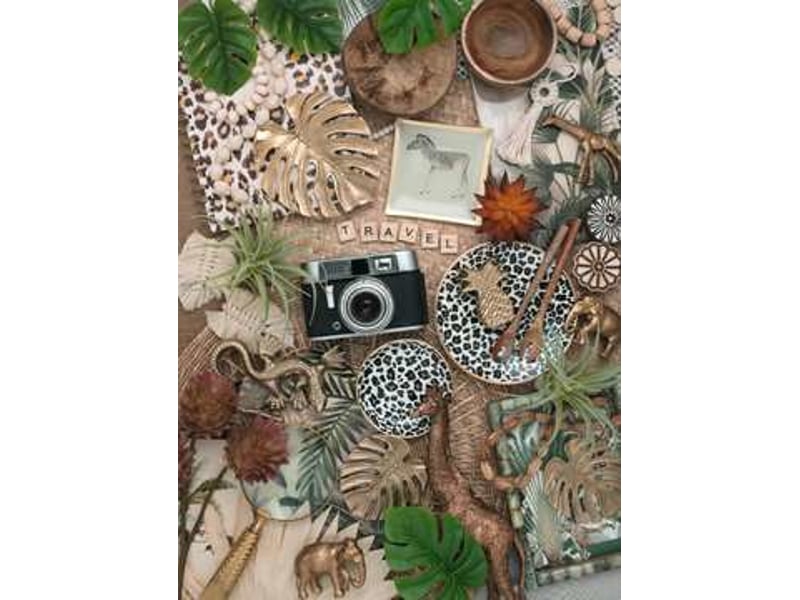  500 pcs nature morte vintage 16982 - Conforama B
