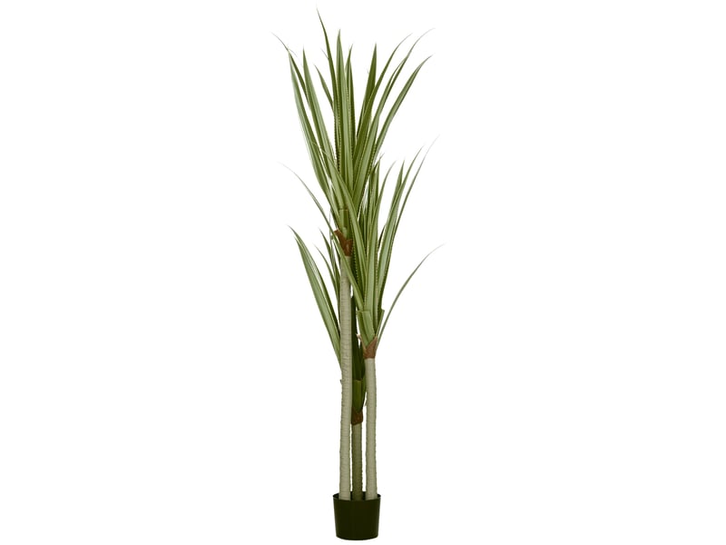  Grand yucca artificiel, 190 cm, en plastique, en pot, 17 x 17 x 190 cm, vert émeraude  - Conforama A