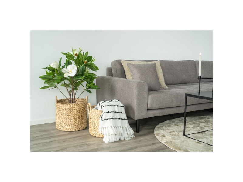  Lot de 2 paniers ronds passo en jacinthe d'eau naturelle avec poignées - 30 et 35 cm  - Conforama D