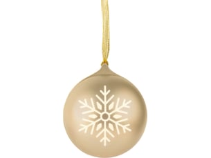 Enceinte nomade M540 XMASBALLGOLD 