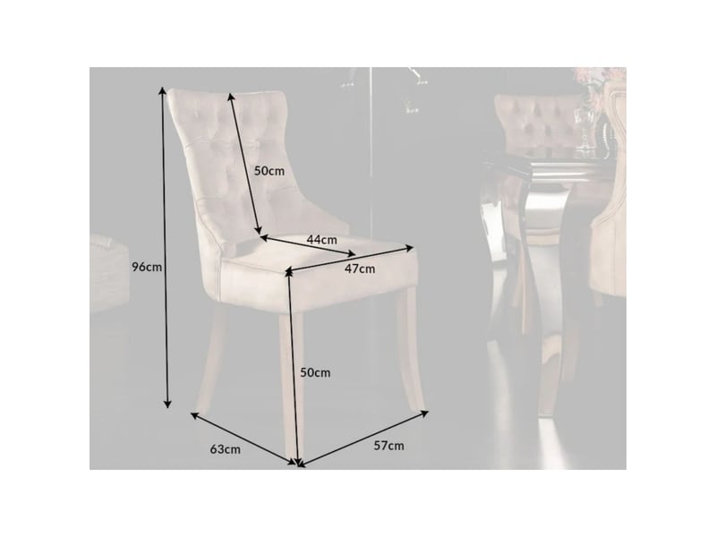  Lot de 2 chaises regina cappuccino en velours capitonné – anneau argenté et pieds en bois clair  - Conforama C