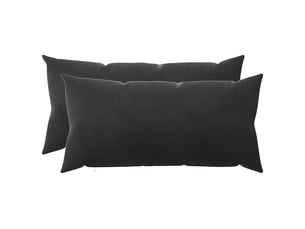 Lot de 2 coussins avec oreiller, coussins décoratifs heerlen noir velours cf50535