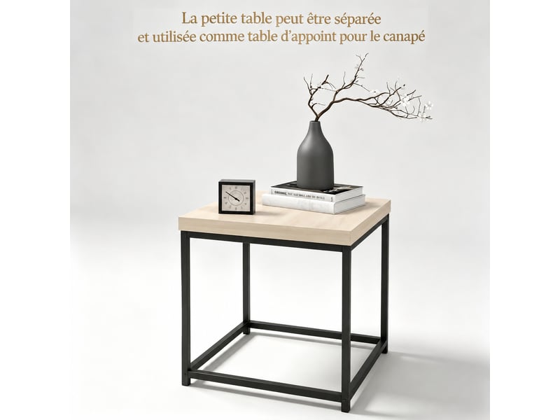  Lot de 2 tables basses gigognes, table basse carrée 45 x 45 cm, acier et bois naturel, design moderne gain de place.  - Conforama E