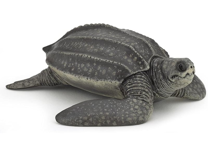  56022 tortue luth figurine papo 56022 - Conforama A