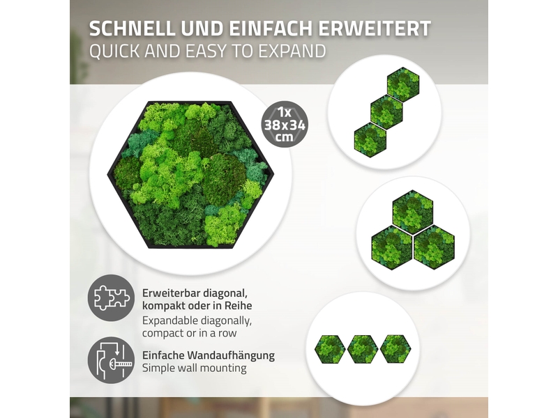 Ecd germany tableau végétal mural, mélange de mousses stabilisées, hexagonal, 38 x 34 cm, vert, décoration d'intérieur véritable effet 3d, sans arrosage ni entretien, cadre en bois, pièce unique ECD Germany GmbH - Conforama D
