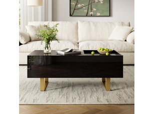 Table basse rectangulaire coloris noir <strong>WISHDOR</strong> <strong></strong> - 50 cmx100 cm