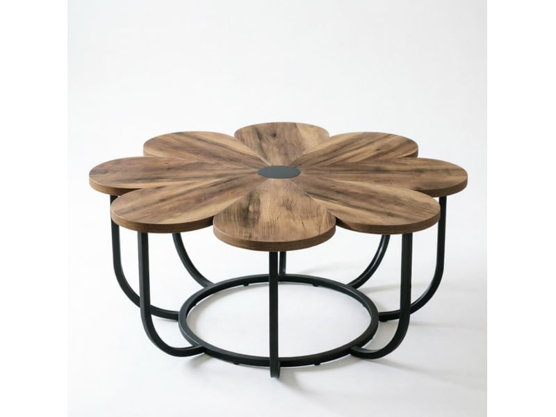 Table basse ronde en forme de fleur 100 cm, bois et métal noir et marron, pieds réglables pour le salon - Conforama A