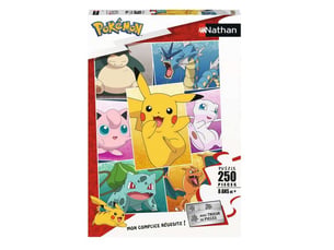 Puzzle types de pokemon 250 pieces