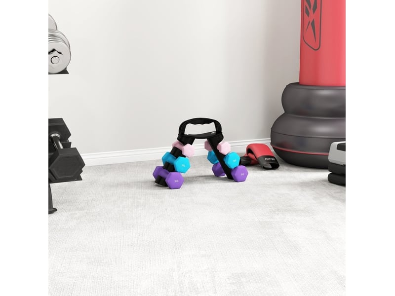 Set de 6 haltères de 1 à 3 kg rose et bleu, noyau en métal, support transformable d'entraînement - Conforama B