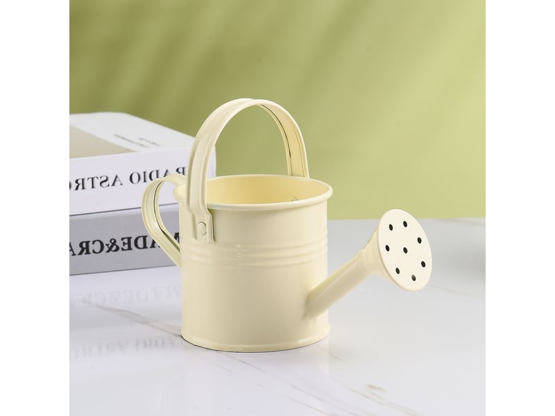  Mini boîte d'arrosage en métal, beige, portable avec poignée, pulvérisateur de jardin  - Conforama B