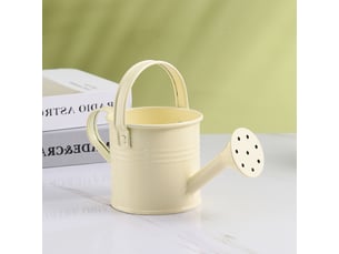 Mini boîte d'arrosage en métal, beige, portable avec poignée, pulvérisateur de jardin