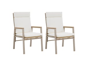 Lot de 2 chaises de jardin,72x57x101 cm,métal et textilene,beige kaki
