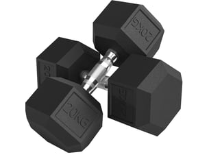Lot de 2 haltères 20 kg 35,6x16,6x14,4 cm hexagonales métal noir
