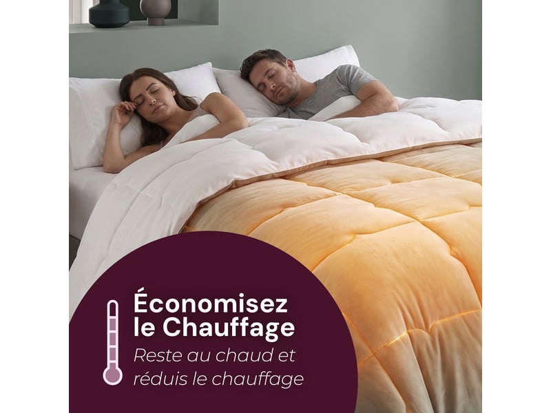  Flandria couette douce réversible polaire, chaude et moelleuse, garnissage 350gsm, 220x240cm, sauge et microfibre blanche  - Conforama D