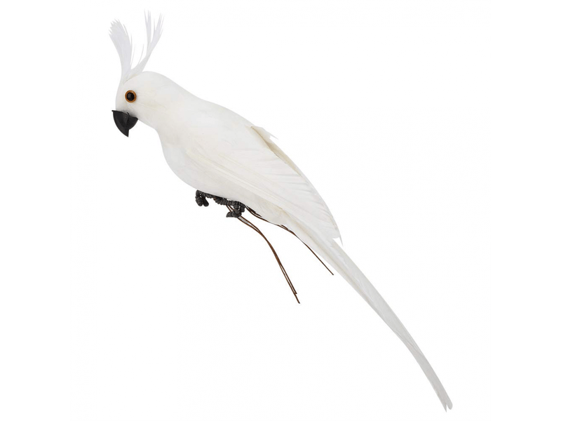  Perroquet artificiel en mousse de 27,5 cm, mignon, pour décoration de jardin et de maison  - Conforama D