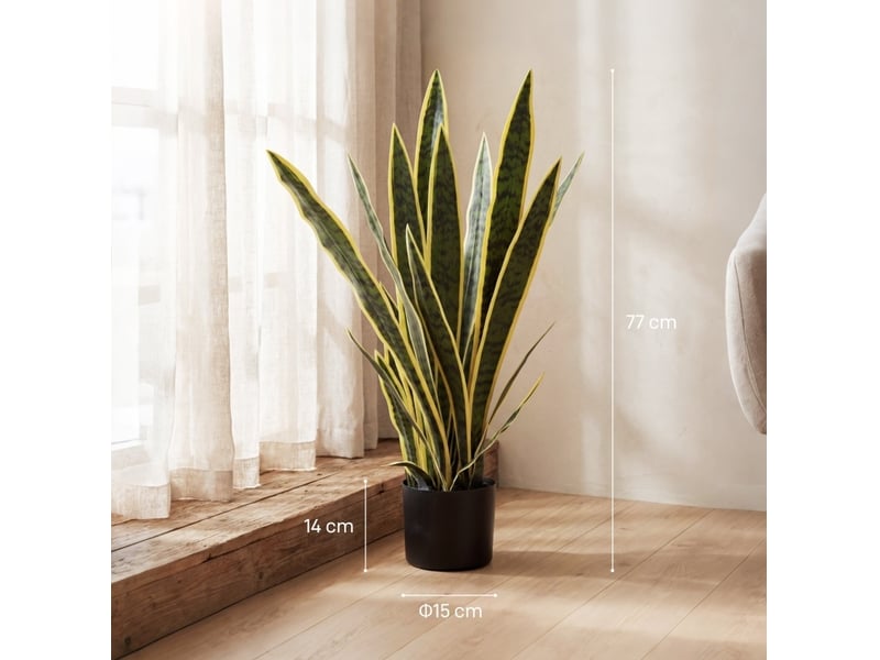  Plante artificielle sansevieria 15x15x77 cm feuilles flexibles verte  - Conforama E