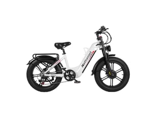 Vélo électrique double moteur nathaniel syr08, fat bike 20, blanc