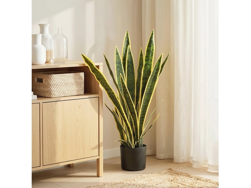  Plante artificielle sansevieria 77 cm – verte – pot inclus, feuillage flexible et aspect naturel  - Conforama B