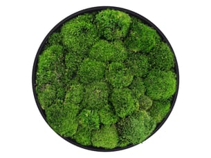 Ecd germany tableau en mousse boule stabilisée véritable, forme ronde ø 40 cm, vert, décoration murale végétale d'intérieur, cadre en mdf, sans arrosage ni entretien, effet 3d, pièce unique