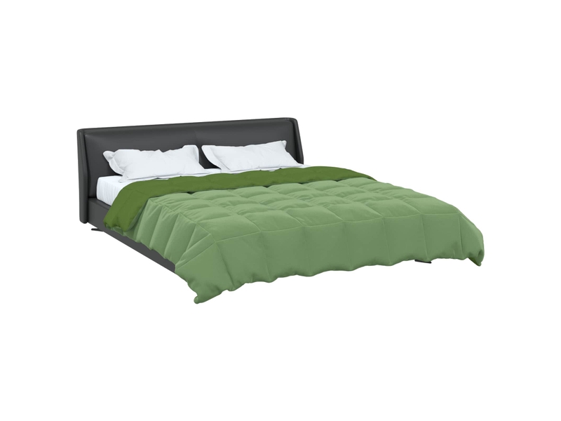  Duvet - couette complet toute l'année 200 x 200 cm 4 saisons vert  - Conforama C
