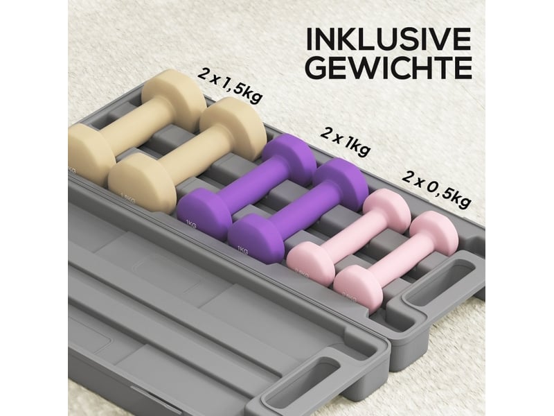  Set de 6 haltères avec valise 43 x 18 x 7,5 cm, rose, acier revêtu, entraînement musculaire  - Conforama E