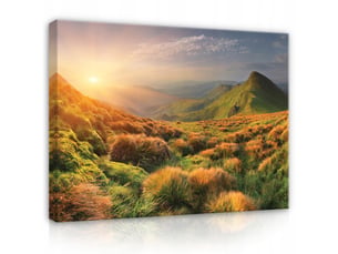 Tableau décoration murale impression sur toile paysage nature brun - 60x40 cm - tableau décoration murale chambre et salon