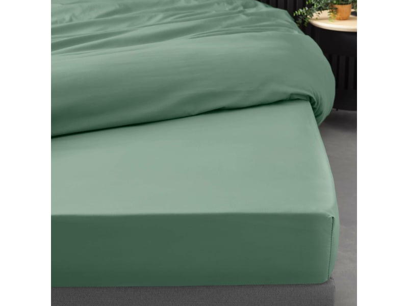  Ensemble literie 4 pièces drap plat 240 x 300 cm + drap housse 140x190 cm + 2 taies 63x63 cm percale 78 fils tilleul  - Conforama D
