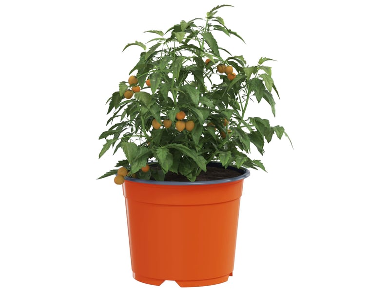  Jardinière - pot à fleurs rond 100 pcs terre cuite ø 10 x 8 cm plastique  - Conforama C