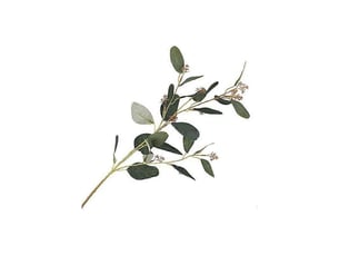 Feuilles d'eucalyptus artificielles, fausses fleurs, plante, décoration pour mariage, maison, café, fête5