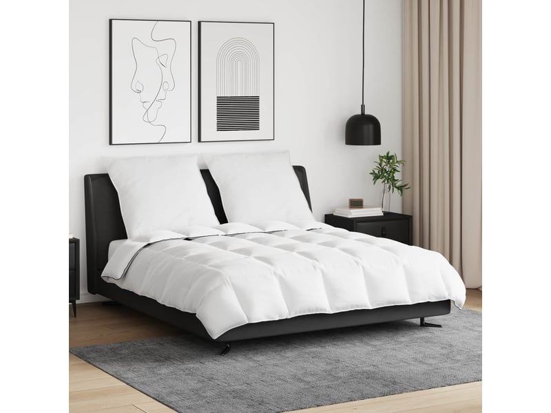  Duvet d'hiver avec oreiller 3 pièces - couette blanc plume de canard  - Conforama B