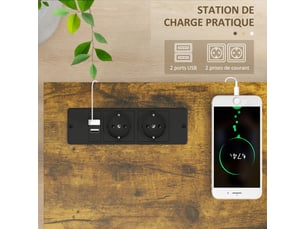 Console meuble étroite à 2 niveaux style industriel avec prises de courant et usb, marron, 100 x 24 x 75 cm