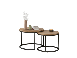Table basse  coloris naturel WISHDOR 