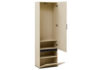Armoire d'entrée tcqpz étroite avec miroir et penderie coulissante 54 x 34,5 x 179,5 cm mdf coloris bois