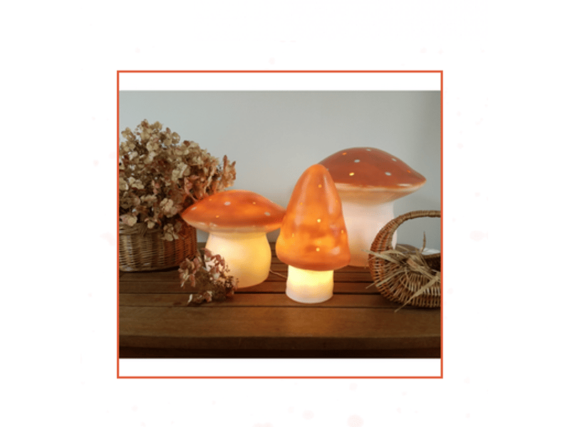  Lampe champignon-petit-terra 360208TE - Conforama B