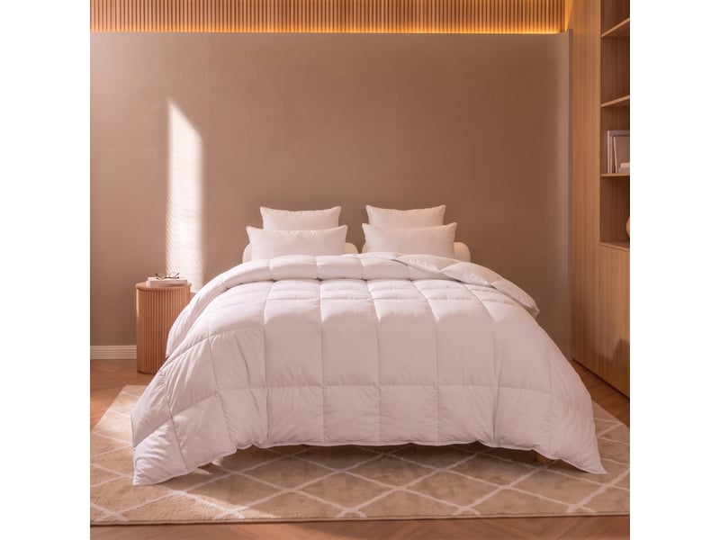  Dodo - couette 240x260 thermoduv canard - 30% duvet - chaude  - Conforama C