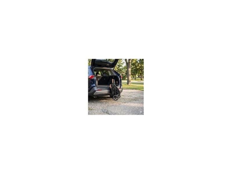  Poussette canne compacte 4 roues noire 22 kg 506LEXY-NOIR - Conforama C