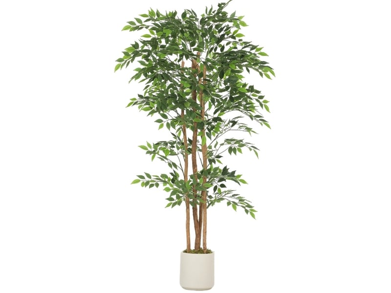 Arbre artificiel banyan 75 x 75 x 180 cm – vert – feuillage ajustable avec pot blanc lesté stable - Conforama A