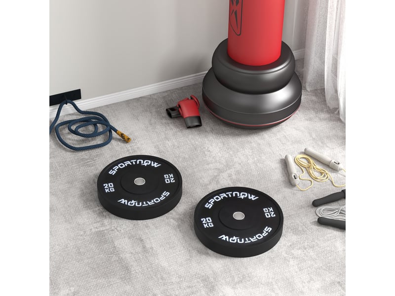  Lot de 2 disques de musculation de 20 kg pour haltères et barres, avec fixation de ø5 cm, noirs  - Conforama D