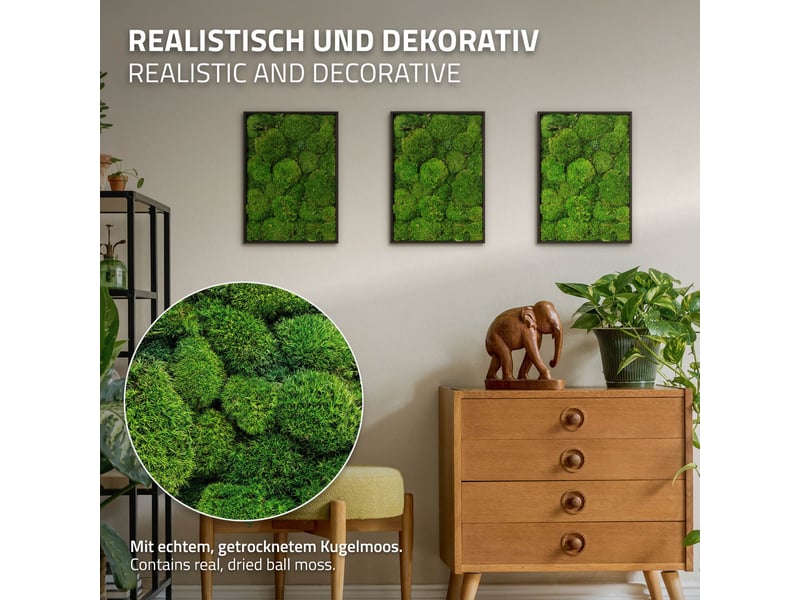 Ecd germany tableau en mousse boule stabilisée véritable, forme rectangulaire 38x27 cm, vert, décoration murale végétale d'intérieur, cadre en bois, sans arrosage ni entretien, effet 3d, pièce unique ECD Germany GmbH - Conforama C