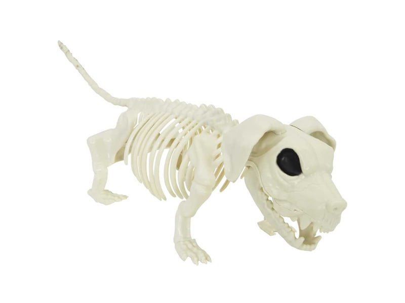  Squelette de décoration halloween 2 pc blanc 155 x 38.5 cm cf61973  - Conforama D