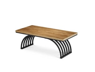 Table basse 120x60x45 cm en métal et bois noir et marron