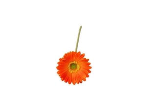 Gerbera jamesonii artificiel avec tige, fleur en soie réaliste, centre de table pour la maison ou le bureau, branche de fleur artificielle, décoration floraleorange