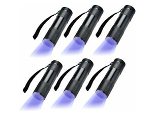 6 pack uv ultra violet blacklight 9 led lampe de poche lampe torche extérieur etc.