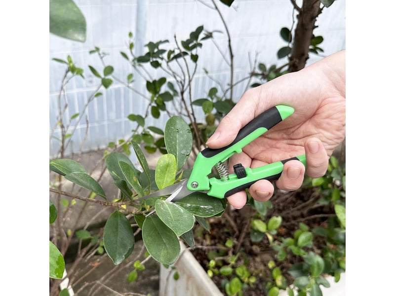  2 pièces secateur de jardin professionnel, sécateur a main avec poignées artificielles, sécateurs et ciseaux de jardinage  - Conforama C